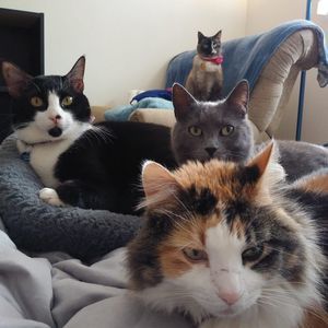 Meet your Posher, Natalie